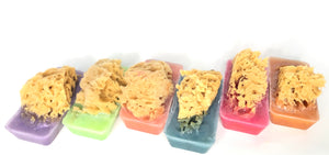 Sponge Soap