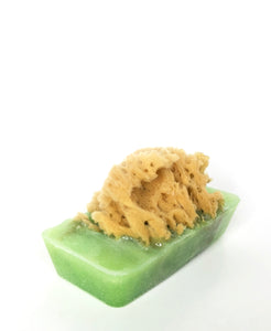 Sponge Soap